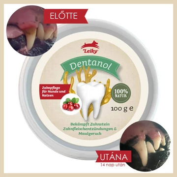 Dentanol 100g